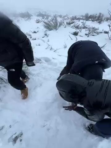Three individuals are constructing a small snowman in a snowy landscape. The snow covers the ground, with sparse, low-lying vegetation visible amidst the snow cover. The weather appears overcast and misty. The people are wearing winter clothing, including puffy jackets with hoods, gloves, and boots, to protect themselves from the cold. They are kneeling and bending over, using their hands to pack and shape the snow. The snowman appears to be at an early stage of construction, with a spherical base already formed.