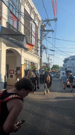 Mounted police patrol Provincetown streets on the Fourth of July
