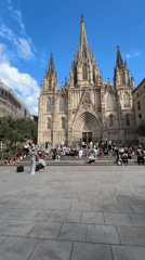 Street musician performs acoustic guitar near Barcelona cathedral