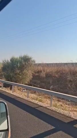 This is a first-person perspective video taken from a vehicle, likely a car or truck, driving on a paved road. The vehicle is moving from left to right in the frame. On the left side of the road, there is a white side mirror visible from the interior of the vehicle. To the right of the road, there is a metal guardrail. Beyond the guardrail, there is a dry, grassy field with some sparse vegetation and patches of brown earth. In the distance, there is a long fence line that stretches across the horizon, possibly a perimeter fence for a large area. A single utility pole with wires is visible against a clear blue sky. The overall environment appears to be arid or semi-arid, with dry vegetation and a bright, sunny day. The fence line in the distance suggests a large, possibly industrial or secured, area.