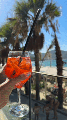 Cocktails and palm trees at a Bodrum beach club
