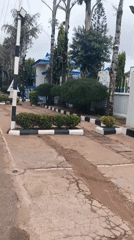 Nigerian communities document everyday infrastructure, wildlife scenes Monday morning