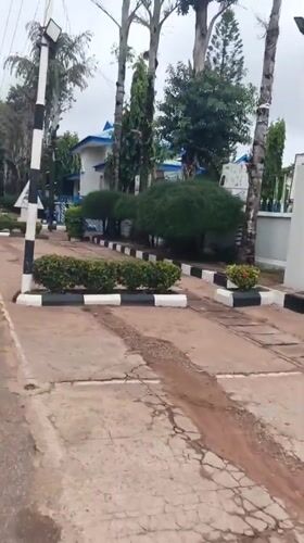 Nigerian communities document everyday infrastructure, wildlife scenes Monday morning