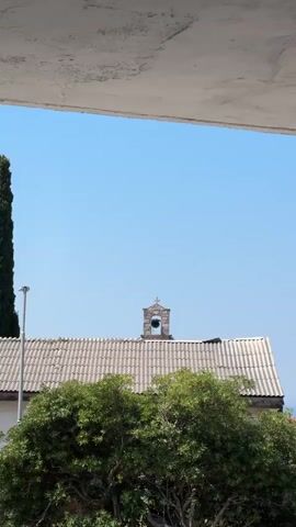 The video shows a view of a bell tower on top of a building with a tiled roof. Green trees are in the foreground, and a tall, dark green tree is on the left. The sky is a clear blue. The bell in the tower is swinging.