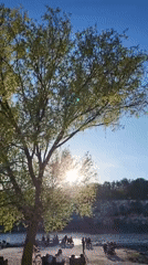 Sunny afternoon lakeside gathering with wildlife observed May 2