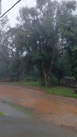 The video displays a dirt road in a rural or suburban setting, likely Encarnacion, Paraguay, under overcast and potentially rainy weather. The ground is damp and shows puddles, indicating recent or ongoing precipitation. A thick canopy of lush green trees lines the right side of the road, with one particularly large, mature tree dominating the foreground. The foliage is dense and appears healthy. The road itself is a reddish-brown dirt, with tire tracks visible, suggesting it is used by vehicles.

To the right of the trees, a wooden fence is partially visible, hinting at a property boundary or a corral. The background is obscured by fog or mist, giving the scene a slightly diffused and tranquil atmosphere. The overall impression is one of a quiet, natural environment experiencing inclement weather. There are no people or animals visible in the frame. The time of day is difficult to ascertain precisely due to the cloudy conditions, but the muted light suggests it is likely daytime, perhaps morning or afternoon. The absence of direct sunlight contributes to the subdued mood. There is no visible text in the media file.