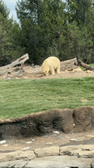Afternoon zoo visit captures ducks, goats, snakes at Columbus Zoo
