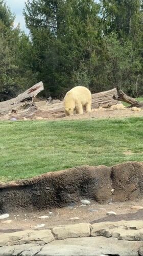 Afternoon zoo visit captures ducks, goats, snakes at Columbus Zoo