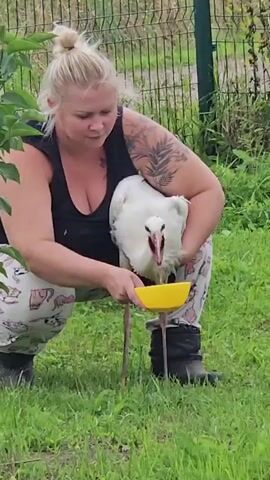 A woman with blonde hair tied in a bun and tattoos on her arm kneels in a grassy area. She is holding a yellow bowl in her left hand and a white stork in her arms, allowing the bird to drink from the bowl. The stork has a long red beak and black legs. The woman is wearing a black tank top and patterned pants. In the background, there is a fence and lush green foliage. The scene appears to be outdoors.