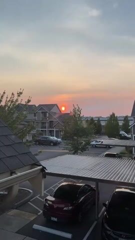 This vertical video captures a sunset over an apartment complex in Fife, Washington. The sun, a bright, glowing orb, is partially obscured by thin, wispy clouds tinged with orange and pink hues, indicating either dusk or a hazy atmosphere. In the foreground, the dark asphalt of a parking lot is visible, with several cars parked under covered carports. The cars are of various colors, including a dark red sedan and a black SUV. Beyond the carports, apartment buildings with beige and gray siding and dark roofs are arranged. Trees with green foliage are interspersed throughout the scene, some close to the buildings and others further in the background. The overall impression is one of a peaceful, urban residential setting experiencing a dramatic sunset. The time of day is clearly sunset, and the hazy quality of the sky suggests potential weather conditions like smoke or pollution, or simply a typical atmospheric effect at sunset. No people are visible in the media. There is no discernible text in the video.
