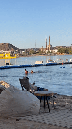 Lazy beach afternoon in Sharm El Sheikh with a chihuahua in tow
