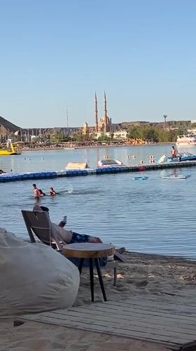 Lazy beach afternoon in Sharm El Sheikh with a chihuahua in tow