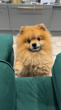 Woman in light blue top observed in Khimki area