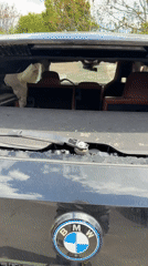 Multiple damaged BMW vehicles documented in Burgas, Bulgaria