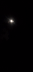 Full moon observed through trees in Vallecito, Venezuela
