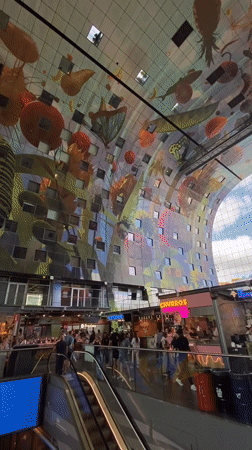 Inside Rotterdam's Markthal and its iconic ceiling mural