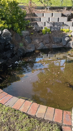 Ponds, streams, and lakeside paths in Berwick parkland