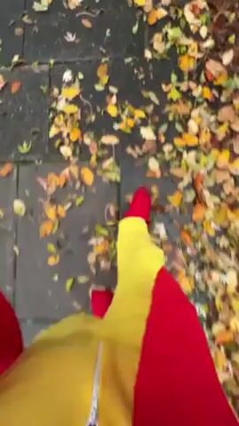 A person wearing a yellow and red outfit walks on a pavement covered in fallen leaves. The pavement is made of dark gray paving stones, and the leaves are mostly yellow and brown. The person is walking away from the camera, so only the lower half of their body is visible.