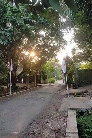 The video shows an exterior, eye-level, static shot of a narrow, paved road with a gravel shoulder. The road is lined with trees and vegetation, some of which appear to be palm trees. The sun is visible, shining brightly through the leaves of a large tree in the center of the frame, creating lens flare. Two Indonesian flags are displayed on poles, one on each side of the road, further down the path. The flags are white on top and red on the bottom. The setting appears to be a rural or suburban area. There are no people or animals visible in the video. The lighting suggests it is either sunrise or sunset.