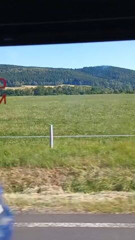 The video shows a view from a vehicle moving through a rural landscape in Staré Sedlo, Czechia. The scene is dominated by a vast, green field of crops or grass, likely a meadow or agricultural land, stretching towards a backdrop of rolling hills covered in dense green trees. The sky is a clear, bright blue, indicating fair weather and a sunny day, likely midday. A few fence posts are visible within the field, suggesting it's a pasture or enclosed area. In the foreground, the edge of the road or a ditch is visible, with dry grasses and weeds. The overall impression is one of a peaceful, natural environment, typical of the Czech countryside. No people or specific objects are clearly discernible as subjects, the focus being on the expansive landscape. The movement of the vehicle creates a slight blur, especially in the foreground vegetation, emphasizing the feeling of travel.