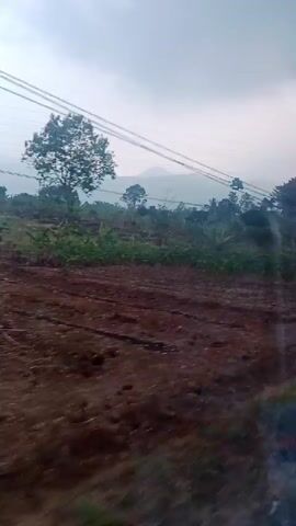 The video shows a landscape with a field, trees, and utility poles with wires. The field appears to be partially cleared or tilled, with some areas of dry vegetation. There are several trees scattered throughout the scene, and a prominent utility pole with wires runs across the frame. In the background, there are hills or mountains under a cloudy sky. The perspective suggests the video was recorded from a moving vehicle.