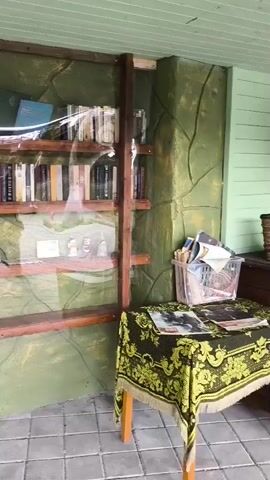 The video shows a display shelf filled with books and various objects. The shelf is covered with clear plastic. The background is a green wall with a stone-like pattern. To the right of the shelf, there is a small table covered with a green and yellow patterned cloth, with some papers or magazines on top. The floor is tiled.
