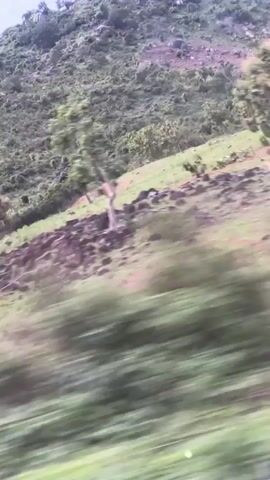 The video captures a dynamic view of a hilly, verdant landscape, likely from a moving vehicle. The scene unfolds in what appears to be a rural or natural environment, with rolling hills covered in lush green vegetation and scattered trees. Patches of reddish-brown earth are visible on some slopes, contrasting with the greenery. The sky above is partly cloudy, suggesting a daytime setting. The foreground exhibits significant motion blur, indicating the viewer is traveling at a moderate to fast pace, while the distant hills retain more clarity. Upbeat music can be heard in the background, adding to the atmosphere of the journey. The natural scenery is consistent with the provided location context of Gidan Waya, Nigeria.