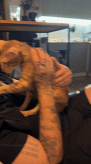 Man and orange tabby cat share quiet moment in Khimki home