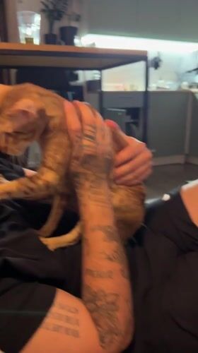 Man and orange tabby cat share quiet moment in Khimki home