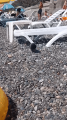 Busy summer morning at Kobuleti's Black Sea pebble beach
