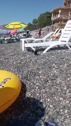 The video shows a rocky beach on a sunny day. In the foreground, a yellow inflatable object is partially visible on the left. The middle ground is dominated by rows of empty white plastic beach chairs. A single pigeon is walking on the pebbles between the chairs. In the background, a few people are visible sitting on lounge chairs and walking. There are also yellow and pink umbrellas providing shade. A body of water and trees are visible in the far background.