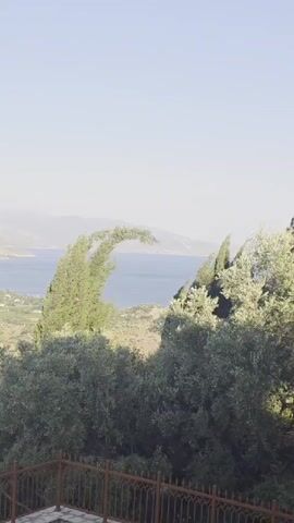 The video shows a panoramic view of a coastal landscape on a clear, sunny day. In the foreground, there is a brown metal fence and lush green trees, including what appears to be an olive grove. A white building with a light-colored roof and glass block windows is visible on the left. Beyond the trees and building, a body of water, likely the sea or a large bay, stretches out to the horizon. The water is calm and a deep blue. Along the coastline, there are scattered buildings and agricultural fields, possibly vineyards or orchards, in varying shades of green. In the distance, hazy mountains form the backdrop to the scene. The camera pans slowly from left to right, revealing more of the coastal area and the surrounding landscape. There are no people or animals visible in the video.