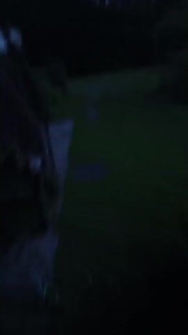 The video opens with a blurry shot of a house or building on the left side. The camera then pans to the right, showing a grassy yard with trees in the background. The sky is visible, appearing to be dusk or dawn. A car hood, reflecting the surroundings, becomes the main focus. A white mug with a handle sits on the car hood. The video continues to pan, showing more of the yard and trees, with the sky still visible. The motion is jerky, indicating that the video is likely handheld.