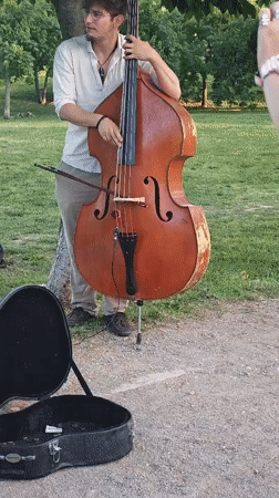 Outdoor music festival with classical performances in Sofia park