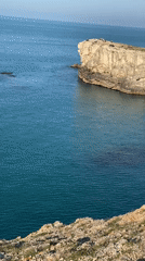 Coastal wildlife and scenery observed from Şile cliffs