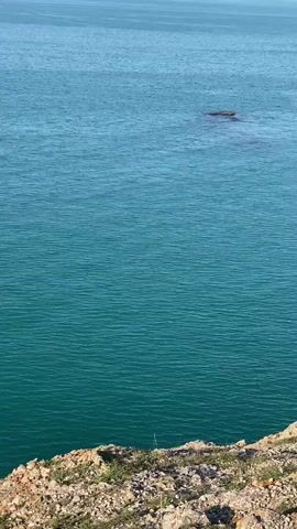 From a high vantage point, the camera pans over a picturesque coastal scene. In the foreground is a rocky, grassy terrain that leads to a cliff edge. Below, the turquoise waters of the sea stretch out to the horizon under a clear blue sky. Prominently featured in the water is a large, craggy rock formation connected to the mainland by a narrow strip of land, forming a natural bridge. Several people are visible atop this formation, enjoying the view or taking pictures. The sea is calm with slight ripples on the surface.