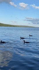Calm afternoon at the Kama River shore, Chaikovsky