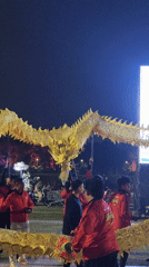 Lion dance performance draws crowds to Da Lat amphitheater