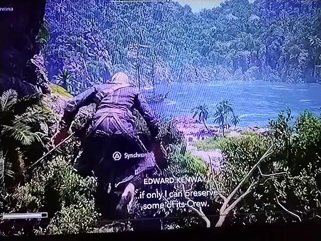 A first-person perspective video displays a video game scene with a lush, tropical environment. The player character, dressed in purple clothing and wielding a sword, is positioned on a tree branch overlooking a body of water. A ship is visible in the distance, anchored in a bay. The character appears to be preparing for an action, as indicated by the on-screen prompt "Synchronize." The camera pans slightly, offering a broader view of the dense foliage, rocky outcrops, and the tranquil blue water. The overall atmosphere is that of an adventure or exploration game, possibly set in a historical or fantastical location.