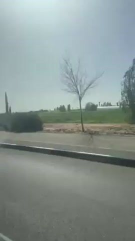 The video is a low-angle shot from inside a moving vehicle, showing the roadside passing by. The foreground is dominated by the dark asphalt of the road, with a light gray concrete curb separating it from the shoulder. Beyond the curb, there is a dense line of dark green bushes and trees. In the background, a slightly elevated grassy area is visible, with scattered trees and possibly some buildings or structures in the distance. The sky is bright and hazy, with the sun shining brightly, creating a diffused lighting effect. The camera appears to be in motion, causing a blurred effect on the passing scenery.