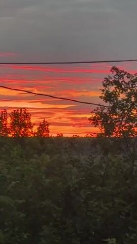 The video opens with a vibrant sunset painting the sky in hues of orange, red, and pink. Silhouetted trees and power lines frame the horizon, suggesting an outdoor scene at dusk. The camera then pans to reveal a two-story building with brick accents, surrounded by lush greenery. This is followed by a quick, blurry shot of what appears to be a storage area or workshop, with various objects scattered on a wooden floor.

The scene shifts again to an indoor setting where a person, seen from behind, is sitting at a desk and interacting with a tablet. The person has long, dark hair and is wearing a bright green t-shirt. The desk is adorned with a collection of colorful cartoon-themed posters, including "Chip 'n Dale" and "Uncle Scrooge." The tablet displays a video, and the overall ambiance suggests a casual, personal space, possibly a bedroom or study area. The lighting in this segment is warm, with a lamp on the desk illuminating the workspace.

The video appears to capture a transition from an outdoor, natural beauty moment to an indoor, personal activity. The outdoor shots convey a sense of peace and natural wonder associated with a sunset. The indoor portion focuses on the individual's engagement with digital content, creating a contrast between the expansive, natural world and the more contained, personal digital realm. The location context of Leninsk-Kuznetskiy, Russia, places these scenes in a specific geographical setting. There is no explicit mention of weather, but the sunset implies clear or partly cloudy conditions. The emotions conveyed are a mix of awe at the sunset and a more focused, possibly relaxed, engagement with the tablet.