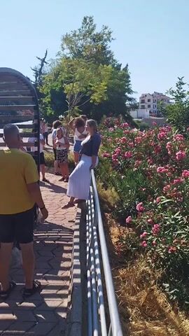 The video shows a scenic view of a coastal town with a harbor filled with boats. In the foreground, there are lush green bushes with pink and white flowers, framing the view of the town and the sparkling blue sea. The sky is clear and a bright blue, suggesting a sunny day. A few people are visible in the first few seconds of the video, standing on a pathway next to a metal railing, enjoying the view. One woman in a white skirt and a grey top is leaning on the railing, looking out at the scenery. The town itself is characterized by buildings with red-tiled roofs, typical of Mediterranean architecture. Islands and hills can be seen in the distance across the water. The overall atmosphere is peaceful and picturesque, capturing the beauty of a seaside vacation destination.
