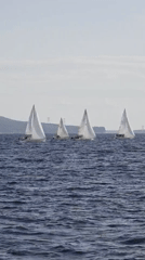 Sailboats racing across choppy water in Primorsky, Russia