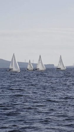 Sailboats racing across choppy water in Primorsky, Russia
