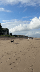 A typical morning on Kuta's dark sand beach, Bali