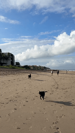 A typical morning on Kuta's dark sand beach, Bali