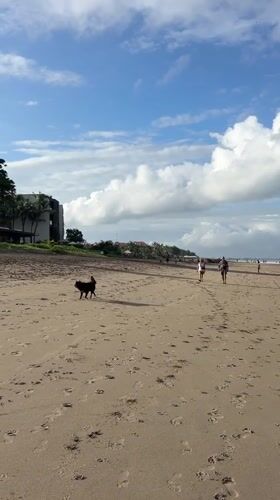 A typical morning on Kuta's dark sand beach, Bali