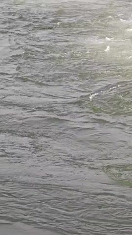 The video shows a close-up, slightly tilted, vertical shot of flowing water. The water appears to be in a river or stream, with some turbulence and white water visible, particularly towards the top and right of the frame. The color of the water is a murky green or brown. The surface of the water has ripples and waves, indicating movement. No people, animals, or man-made objects are visible. The environment is solely focused on the dynamic flow of the water.