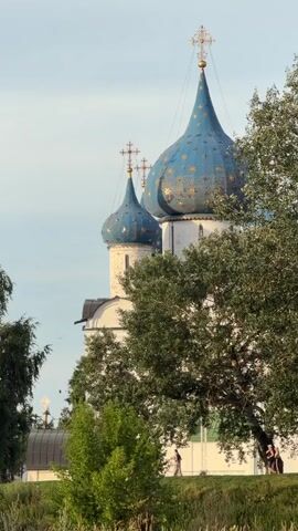 The video shows a medium shot of two blue domed churches with gold crosses on top. The domes are adorned with gold star-like patterns. In front of the churches, there is a large green tree with a person walking their dog. There are other trees and green foliage in the foreground, and a bright blue sky in the background. The overall scene appears to be a sunny day.