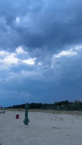The video shows a beach scene under a dark, cloudy sky. A green umbrella is closed and standing upright on the sand. Several beach chairs and a red trash can are visible in the background to the left. A flock of birds is flying in the sky. The overall atmosphere is somewhat somber due to the overcast conditions.